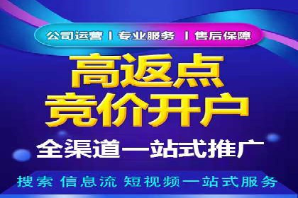 竞价排名优化策略案例分析